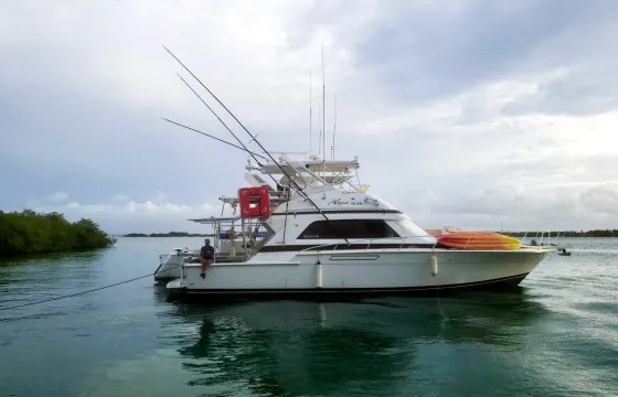 Great 50ft Bertram Private Yacht For Rent In Curacao
