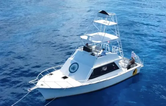 The Ultimate Stingray City Tour