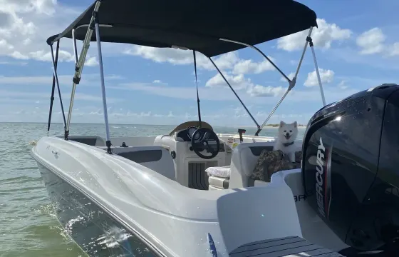 Easy to Drive Bayliner Deck Boat  (10% Off Weekday Specials!!)
