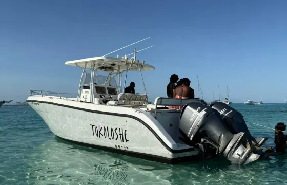 Island Cruiser: 32' Century Center Console – Power & Paradise in Nassau