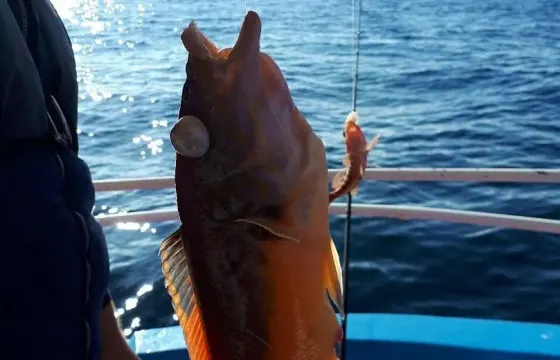 Exciting Deep Sea Fishing Trips in Lagos, Portugal