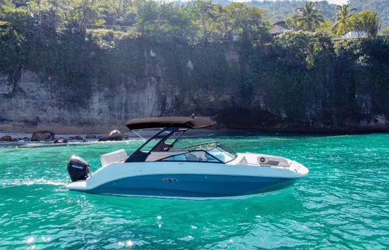 Brand New Sea Ray 250 – Private Luxury Boat in Puerto Vallarta