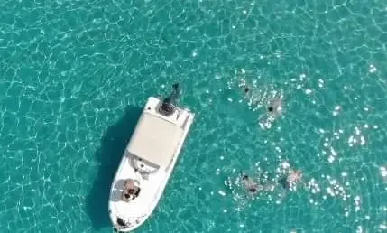 22' Motorboat Gs Nautica for Rent in Sukošan, Zadar