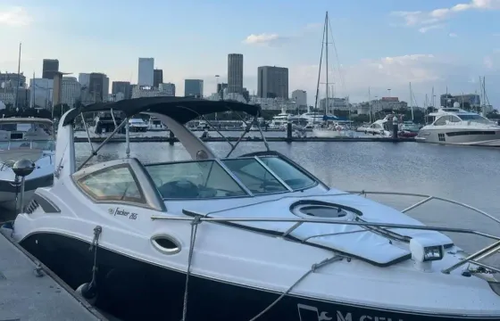 26' Focker Speedboat for Charter In Rio de Janeiro
