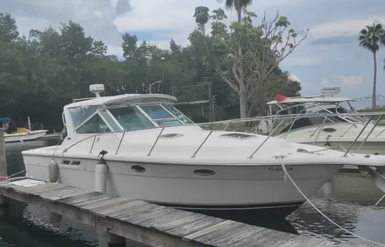 "Two Bits" Tiara 31 Open