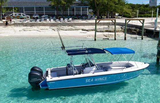 29ft Intrepid Charter in Nassau, Bahamas for Snorkeling, Pigs, Turtles & More