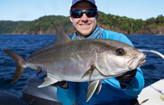 Enjoy Fishing in Chicá, Panamá on 34' Palmetto Center Console