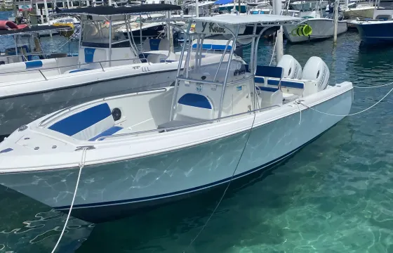 Private Charter 26' Center Console in Nassau, BH