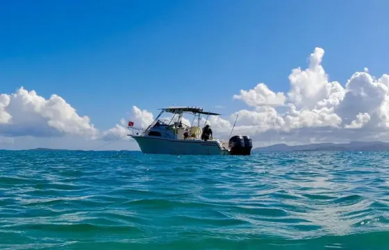 Serene Day on the Water | Grady-White 282 Sailfish Boat