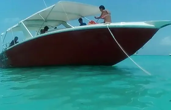Swim with Whale Shark In Cancun, Isla Mujeres and all Mayan Riviera