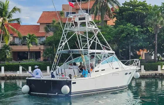 38' Bertram for the best fishing from Puerto Aventuras, Riviera Maya