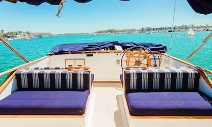 10am Dolphin Cruises on Vintage 40’ boat