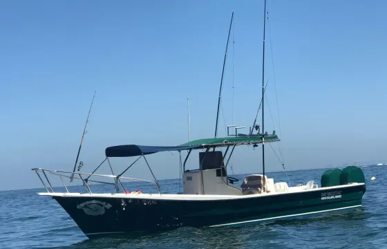 29ft Center Console Super Panga Boat in La Cruz de Huanacaxtle Marina, Mexico