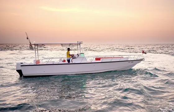Charter 35ft Seamaster 4 Boat for up to 12 persons