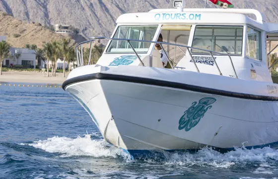 Exclusive Dolphin Watching on Silvercraft 36CC in Muscat, Oman