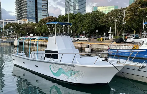 Private snorkel tours, Sunset cruises, Custom charters.