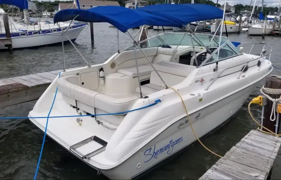 27ft SeaRay for private/sightseeing the beautiful mansion's of fort Lauderdale