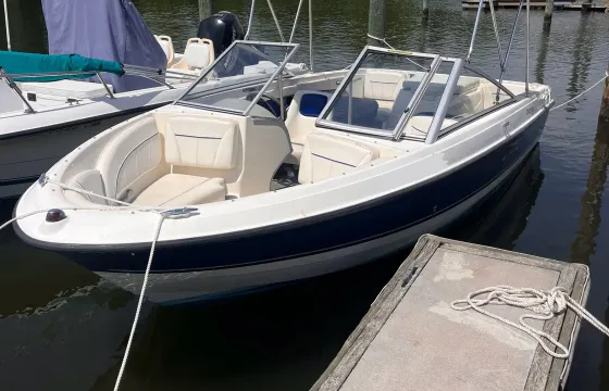 18ft Bayliner - View the city from the water