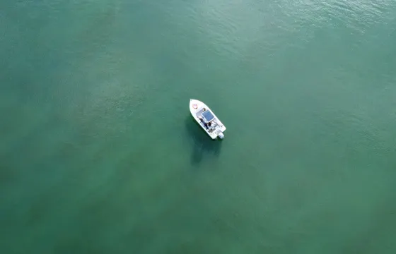 Setúbal, Tróia and Arrábida boat tour for up to 8 people