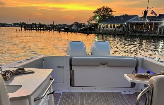 Best Fire Island Adventure: Beautiful Boston Whaler