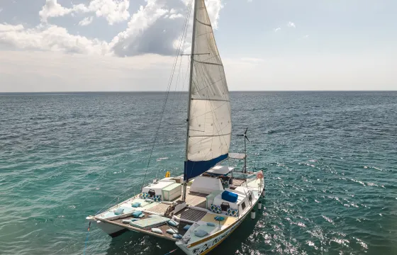 35ft Polynesian Catamaran / Pelagic One