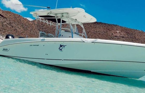 Boston Whaler- Outrage 320 MotorBoat for the best day at La Paz.
