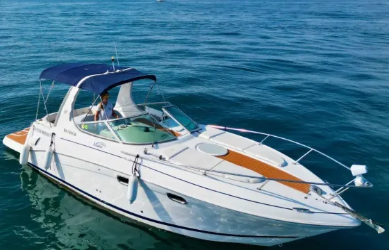 Four Winns Vista 268 - 7 pax - Boat with captain in Puerto Banús Marbella.