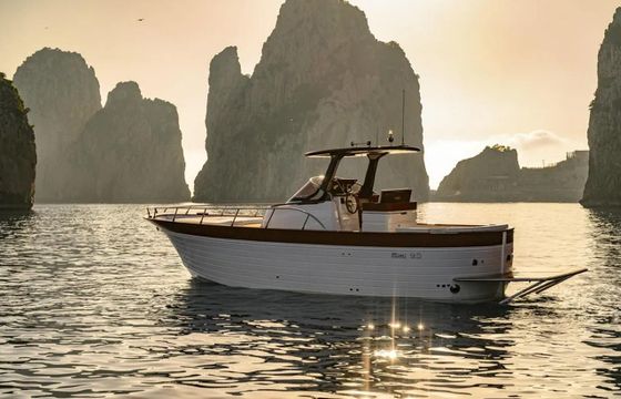 Positano - Gozzo Libeccio 9.50 WA Boat