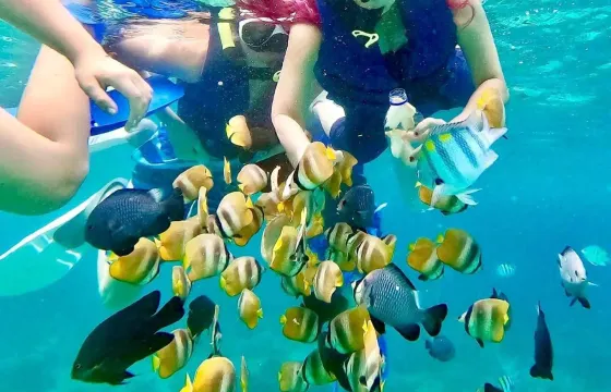 Beautiful Snorkeling Trips at Famous Spots East Bali - English Speaking Guide