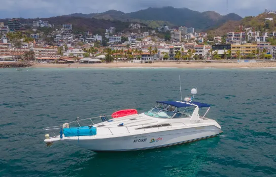 AH CARAY | Sea Ray 42ft amazing Yacht for cruising a day in PV.