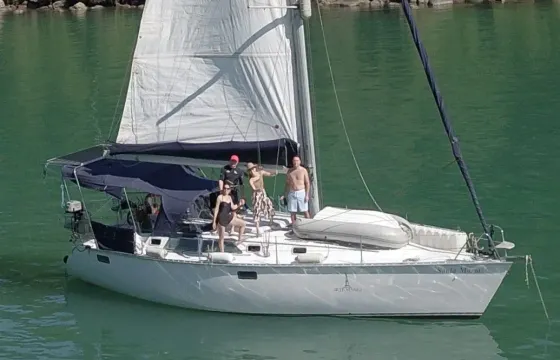 38ft Hunter Sailboat for 7 people with skipper