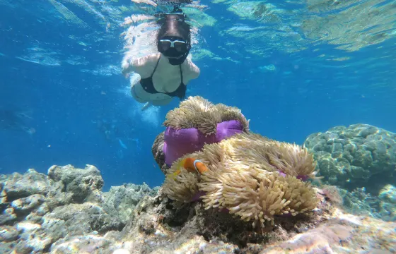 Private Snorkeling Adventure: 68ft Yacht Experience in Cabo