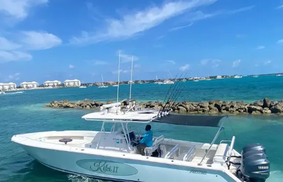 Rose Island tours; 1/2day turtles, pigs, snorkel beach time, full day w/fishing