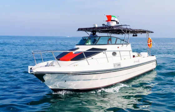 31 Feet Silver craft Motor Boat in Dubai KSY