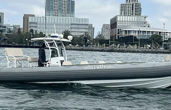 33' Whale Watching Speedboat, 17 Passengers