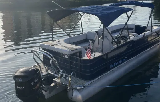 Crest 250 Tri Toon for rent in Venice, Florida
