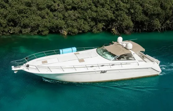 50ft Sea Ray Motor Yahct in Cancun