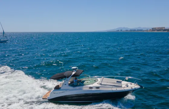 Lovey SeaRay 34 ft Yacht for a day at the Pacific Ocean.