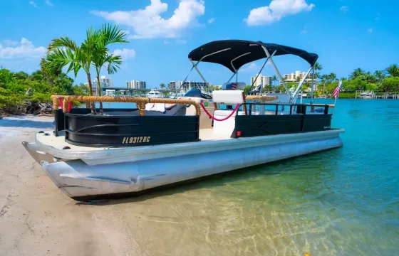 The 24ft Custom PalmToon Party Barge