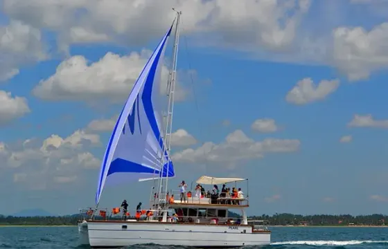 Sailing Cruises in Colombo