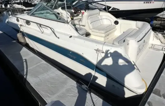 Cruising on 30ft Sea Ray Sundancer for 13 Guests in Cornelius