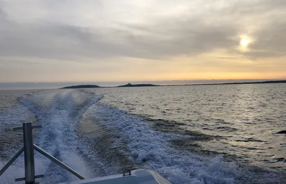 Book the 32' Cab Dorado RIB in Torregrande Porticciolo, Italy