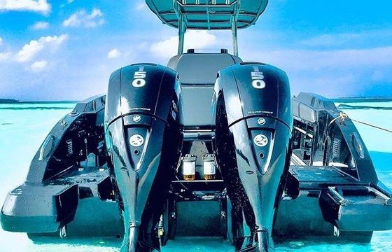 Go fishing, See Whale shark, Manta, Dolphins in Maldives onboard 26' Leekan Boat