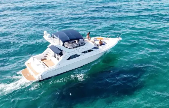 Sea Ray Express Bridge 47 Motor Yacht in Tulum / Playa del Carmen with open bar