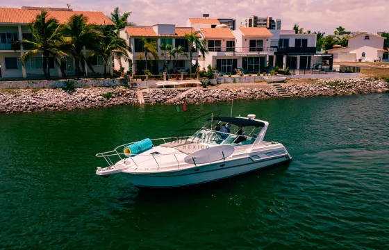 Bertram 42ft Private Yacht for Charter
