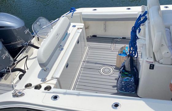 Snorkel, Sandbar, and Fish on a Cobia 28 Center Console with Captain Brad