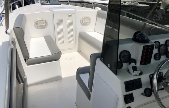 Full Day Private Speedboat Charter for Up to 10 People Saint Lucia