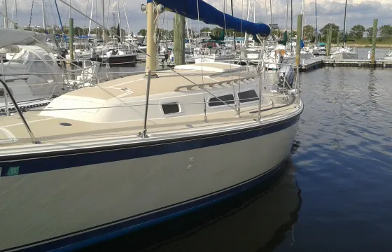 Caribbean Vibez on a Brooklyn Sailboat