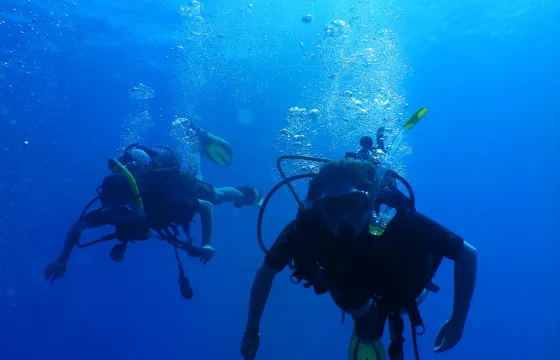 Diving in Cyprus, Poli Crysochous