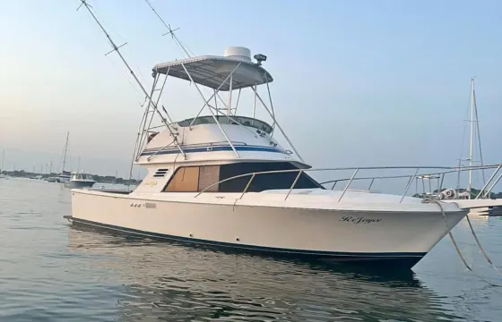 Boston Harbor Cruise & Fishing Trip on 29ft Rejoyce